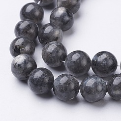 Natural Larvikite Beads Strands&nbsp;X-GSR10mmC128