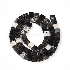 Natural Biotite Beads Strands&nbsp;G-N346-05A-01