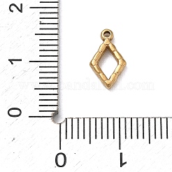 304 Stainless Steel Charms&nbsp;SA-B007-02G-B