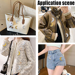 10Pcs 2 Colors Resin Rhinestone Iron on/Sew on Cloth Patches&nbsp;DIY-CY0003-31