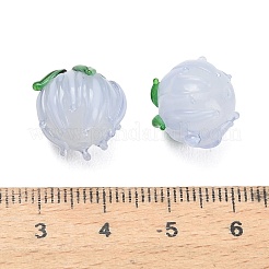 Handmade Lampwork Beads&nbsp;LAMP-F041-02-A08