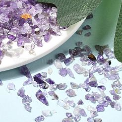 Natural Amethyst Chip Beads&nbsp;G-L453-06
