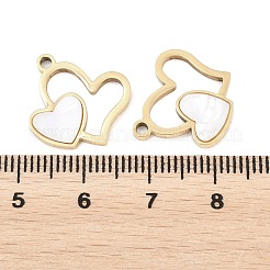 304 Stainless Steel & Acrylic Pendants&nbsp;STAS-P447-02G