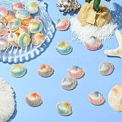 40Pcs 4 Colors Opaque Resin Cabochons&nbsp;CRES-SC0003-11