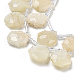 Natural Rainbow Moonstone Beads Strands&nbsp;G-P544-C04-01