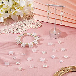 600Pcs 10 Styles ABS Plastic Imitation Pearl & Acrylic Bead Caps&nbsp;OACR-SC0002-34