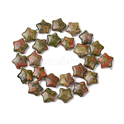 Natural Unakite Beads Strands&nbsp;G-K359-E05