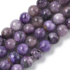 Natural Charoite Beads Strands&nbsp;G-C270-O02-04