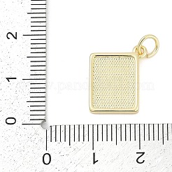Brass Enamel Charms&nbsp;KK-G522-44G-02