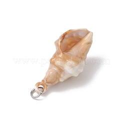 30Pcs 10 Styles Acrylic Pendants&nbsp;PALLOY-JF03989-01