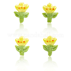 12Pcs Handmade Lampwork Beads&nbsp;LAMP-PA0001-01