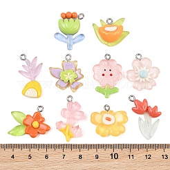 Opaque Resin Pendants&nbsp;RE-CBA5D24-02