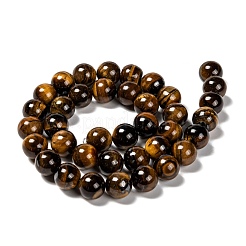 Natural Grade AB Tiger Eye Round Beads Strands&nbsp;X-G-O047-02-10mm