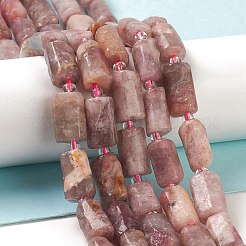 Natural Plum Blossom Tourmaline Beads Strands&nbsp;G-M403-B25