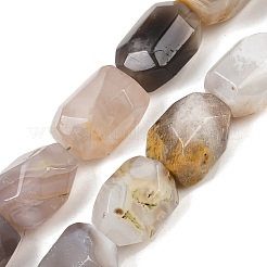 Natural Botswana Agate Beads Strands&nbsp;G-F796-C03-01