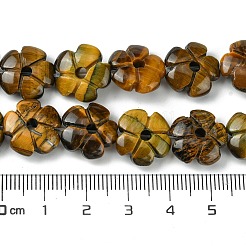 Natural Tiger Eye Beads Strands&nbsp;G-H023-B12-01