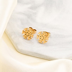 304 Stainless Steel Stud Earring Kits&nbsp;EJEW-H142-02G