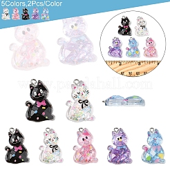 10Pcs 5 Styles Transparent Resin Pendants&nbsp;RESI-FS0001-92