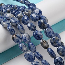 Natural Blue Spot Jasper Beads Strands&nbsp;G-M420-D08-01