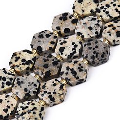 Natural Dalmatian Jasper Beads Strands&nbsp;G-N368-01A-03
