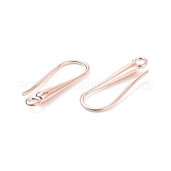 Eco-Friendly Brass Earring Hooks Findings&nbsp;X-KK-M157-03RG-NR