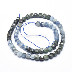 Natural Kyanite/Cyanite/Disthene Beads Strands&nbsp;G-D0003-B01