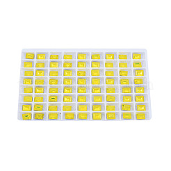 K9 Glass Rhinestone Cabochons&nbsp;MRMJ-N029-18-01