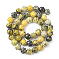 Natural Yellow Turquoise(Jasper) Beads Strands&nbsp;GSR007