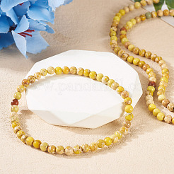 DIY Natural Regalite/Imperial Jasper/Sea Sediment Jasper Beads Bracelets  Making KIts&nbsp;DIY-TA0002-69E