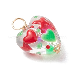 Handmade Glass Enamel Pendants&nbsp;PALLOY-JF04262-02