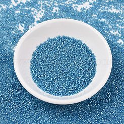 MIYUKI Delica Beads&nbsp;SEED-JP0008-DB1709