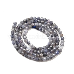 Natural Tanzanite Beads Strands&nbsp;LS-G-S387-A01-3mm