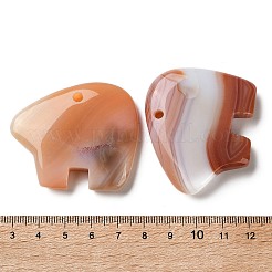 Natural Red Agate Pendants&nbsp;G-T144-08I