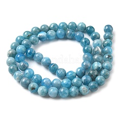 Natural Apatite Beads Strands&nbsp;G-L626-A01-6mm-01
