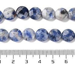Natural Blue Spot Jasper Beads Strands&nbsp;G-K357-B14-01
