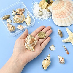 16pcs 8 Styles Electroplated Natural Mixed Shell Big Pendants&nbsp;SSHEL-CJ0001-21