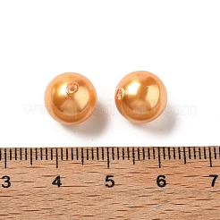 Shell Pearl Beads&nbsp;BSHE-L042-B02-01