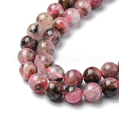 Natural Rhodonite Beads Strands&nbsp;G-C029-04B