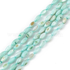 Natural Freshwater Shell Dyed Beads Strands&nbsp;SHEL-M018-13