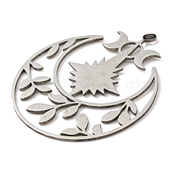 Non-Tarnish 201 Stainless Steel Pendants&nbsp;STAS-M318-30P