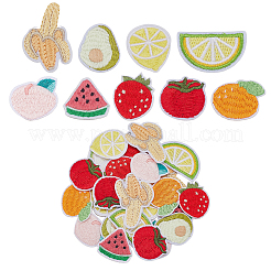 Computerized Embroidery Cloth Iron on/Sew on Patches&nbsp;PATC-WH0026-07