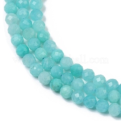 Natural Amazonite Beads Strands&nbsp;X-G-I379-A02-02