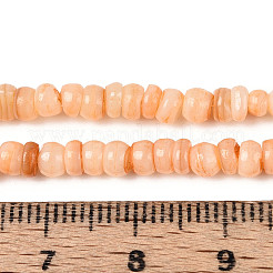 Natural Freshwater Shell Dyed Beads Strands&nbsp;SHEL-T020-29A-07