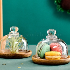 Glass Dome Cloche Cover&nbsp;PW-WG67980-01