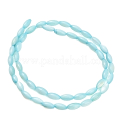 Natural Freshwater Shell Beads Strands&nbsp;SHEL-C010-01C