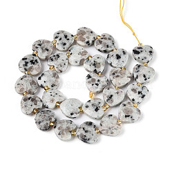 Natural Sesame Jasper Beads Strands&nbsp;G-P592-B15-01
