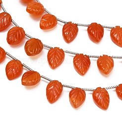 Natural Carnelian Carved Beads Strands&nbsp;GG-CBA0C95-E06
