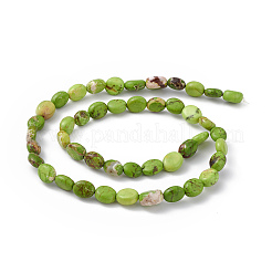 Natural Turpuoise Beads Strands&nbsp;G-P494-A02