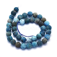 Natural Apatite Beads Strands&nbsp;G-E561-03-10mm