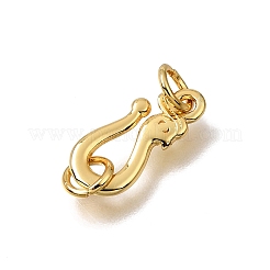 Brass Hooks&nbsp;KK-CBA0DF0-19B-G